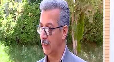 هجوم گسترده آفت سن به مزارع گندم و جو استان مرکزی؛ کشاورزان برای مبارزه تا ۲۰ اردیبهشت فرصت دارند