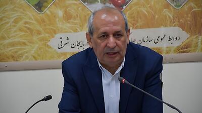 کاهش شدید بارندگی و سرمازدگی، مزارع گندم استان را درگیر خسارت‌های سنگین کرد