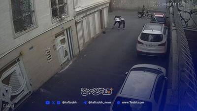 موبایل قاپ قیطریه دستگیر شد.