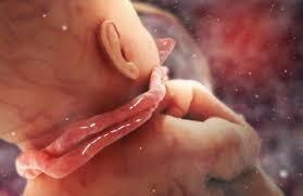 تشریح کامل علل پیچیدگی بند ناف دور گردن و شایعات رایج در این خصوص