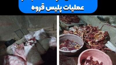 کشف ۲ تن گوشت اسب در قروه