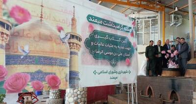 گلاب میمند در راه آستان قدس رضوی
