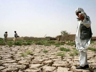 بحران کم‌آبی در کشاورزی؛ فاصله ۶۰ درصدی تخصیص آب با اهداف برنامه هفتم