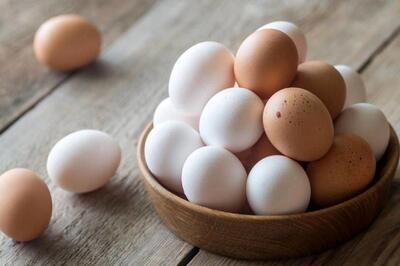 ببینید؛ مصرف روزانه تخم‌مرغ؛ خوب یا بد؟