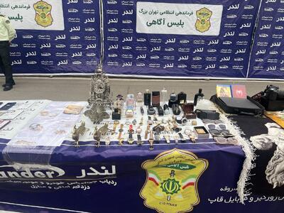 پیرترین سارق تهران دستگیر شد | روایت عجیب اژدهای ۷۰ ساله 