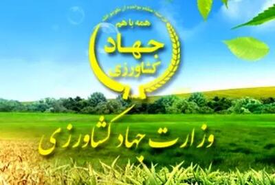 موافقت مجلس با تحقیق و تفحص از عملکرد وزارت کشاورزی در واگذاری محصولات کلزا