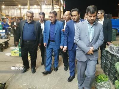 فیلم/ رصد شبانگاهی قیمت و کیفیت بازار میوه و تره بار شیراز با حضور معاون اقتصادی استاندار