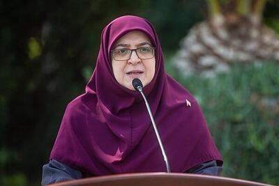 مهاجرانی: باید پرورش خلاقانه آموزش داده شود