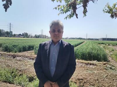 کشاورزی سنتی دیگر پاسخگو نیست / یافته‌های علمی باید به مزارع برسد