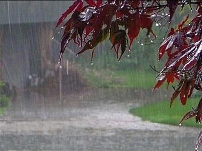 پیش بینی آب و هوای تهران فردا چهارشنبه ۱۰ اردیبهشت ۱۴۰۴