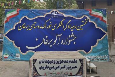 برگزاری نخستین جشنواره آلوی برغان