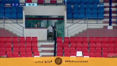 ببینید؛ حمله زنبور‌ها به زمین فوتبال