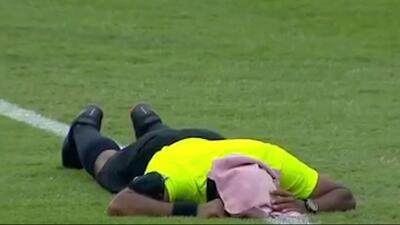 حملهٔ زنبورها باعث فرار هواداران و از پای در آمدن داور در فوتبال هند شد!