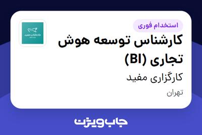 استخدام کارشناس توسعه هوش تجاری (BI) در کارگزاری مفید
