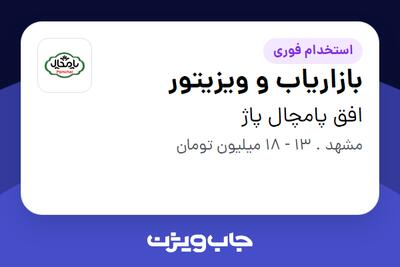 استخدام بازاریاب و ویزیتور در افق پامچال پاژ