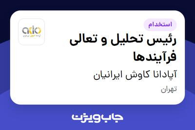 استخدام رئیس تحلیل و تعالی فرآیندها - آقا در آپادانا کاوش ایرانیان