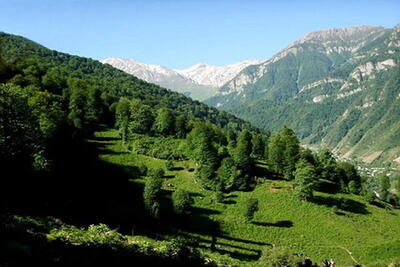 ریه های غرب ایران در حال نابودی است