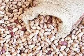 لوبیاچیتی کیلویی ۵۰۰ هزار تومان