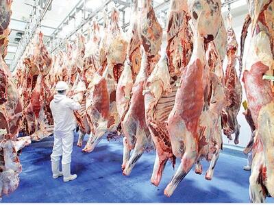 یه شقه گوسفندی چند؟ / قیمت گوشت قرمز امروز ۹ اردیبهشت ۱۴۰۴+ جدول