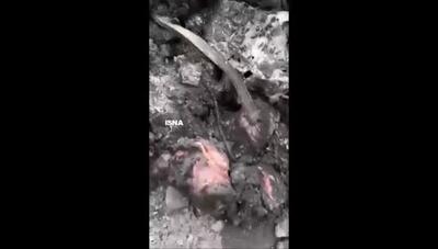 انتشار تصاویر اولیه از حادثه بندر شهید رجایی / دوربین‌هایی که لحظه وقوع فاجعه را ثبت کردند
