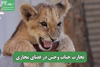 تجارت حیات وحش در فضای مجازی