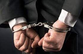کلاهبردار ۸۶۰ هزار دلاری به کشور مسترد شد