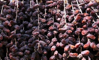 سرمایه‌گذاری در شیلات و خرما؛ ۲ اولویت اقتصادی خوزستان