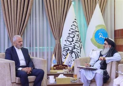 درخواست طالبان از ایران برای ارتقای نظام درمان افغانستان - تسنیم