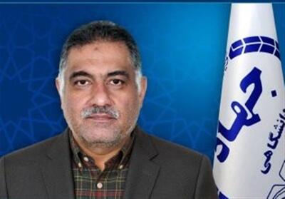 انتصاب مسئول راه‌اندازی سازمان هوش مصنوعی جهاددانشگاهی - تسنیم