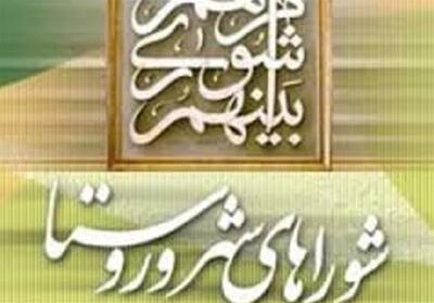 واکاوی علت ناکارآمدی شوراها/ از ناآگاهی تا رانت‌بازی - تسنیم