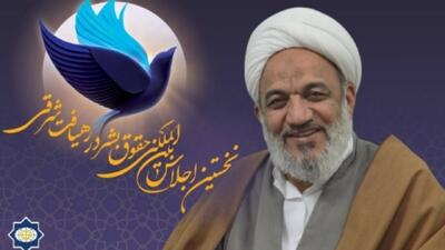حقوق بشر آمریکایی از ابزار‌های اتهام زنی به دیگر کشور‌ها محسوب می‌شود