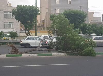 طوفان شب گذشته در تهران ۶ مصدوم داشت