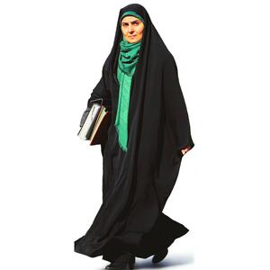 خطای خانم وزیر