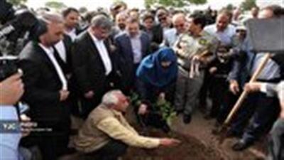 ورود معاون رئیس‌جمهور به لرستان با کاشت درخت در کمالوند خرم آباد