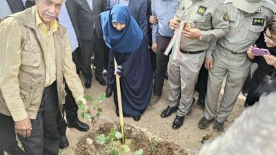 شهردار:‌ کریدور سبز شهری با کاشت ۱۰ هزار اصله نهال در خرم‌آباد اجرا می‌شود