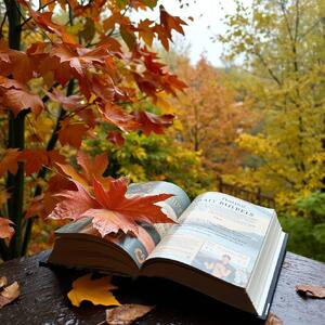 داستانک/ ماشین سرنوشت