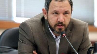 رییس شورای عالی استان ها: دولت و مجلس حامی  شوراها هستند