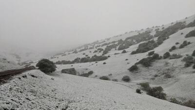 گردنه حیران سفیدپوش شد