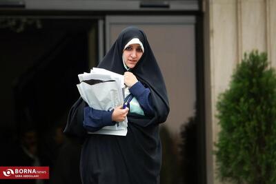 بهروز آذر: دولت لایحه منع خشونت علیه زنان را استرداد کرد