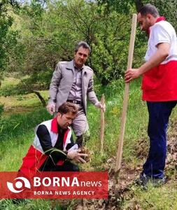 کاشت ۱۰۰ نهال به یاد محیط‌بان شهید و قربانیان اسکله شهید رجایی در پاوه