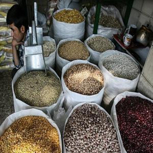 نوسانات قیمت لوبیا چیتی؛ آغاز تغییرات بازار در سال ۱۴۰۴
