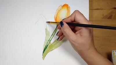 آموزش مرحله به مرحله گل لاله با آبرنگ