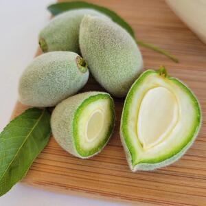 روش های نگهداری و استفاده بهینه از چغاله بادام