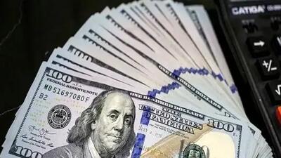 خبر فوری/ دریافت 2 بار ارز مسافرتی در سال امکان‌پذیر شد!