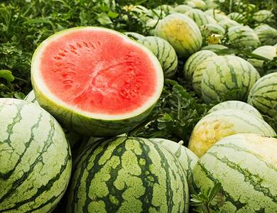 آیا مصرف هندوانه برای افراد دیابتی مفید است یا خیر؟