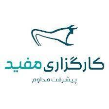 کارگزاری مفید، اولین هلدینگ خدمات مالی ایران - سایت خبری اقتصاد پویا