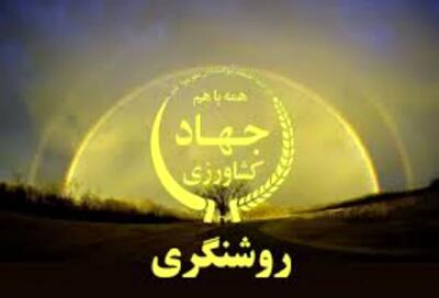 چغندرقند قربانی نادرست‌ترین قضاوت‌ها