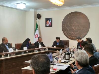 سخن مشترک تشکل‌ها درباره احیای شورای عالی تامین اجتماعی و اصلاح مشاغل سخت و زیان آور و اصلاح قوانین / محجوب: جلسات خروجی داشته باشد