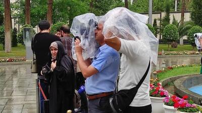 فیلم/ حاشیه‌ای بارانی بر حاشیه حیاط دولت