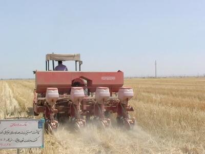 راهکار یک محقق برای جلوگیری از آتش زدن مزارع